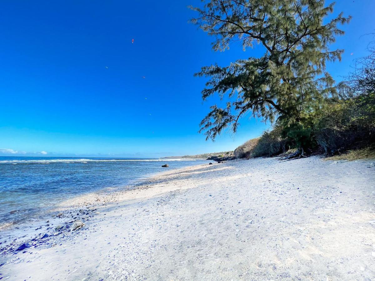Le Petrel Bleu - Appartement Sur La Plage Des Tortues A Saint-Leu Ngoại thất bức ảnh